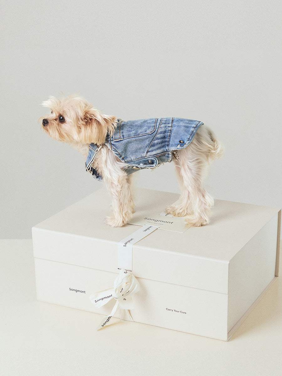 Small Luna & Pet Leash Box
